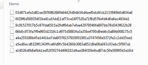 The filenames are just a bunch of hex gibberish, because that's how we roll